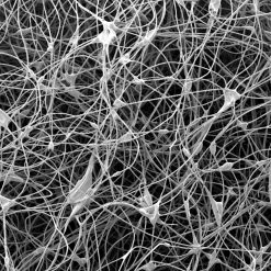 Mountain Equipment Lunar III